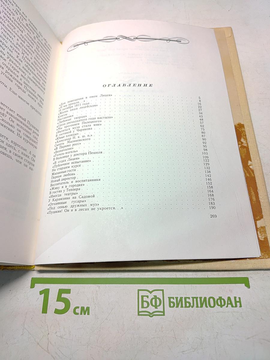 Город поэта