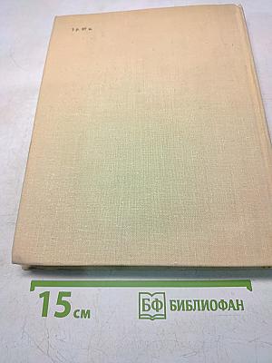 Город поэта