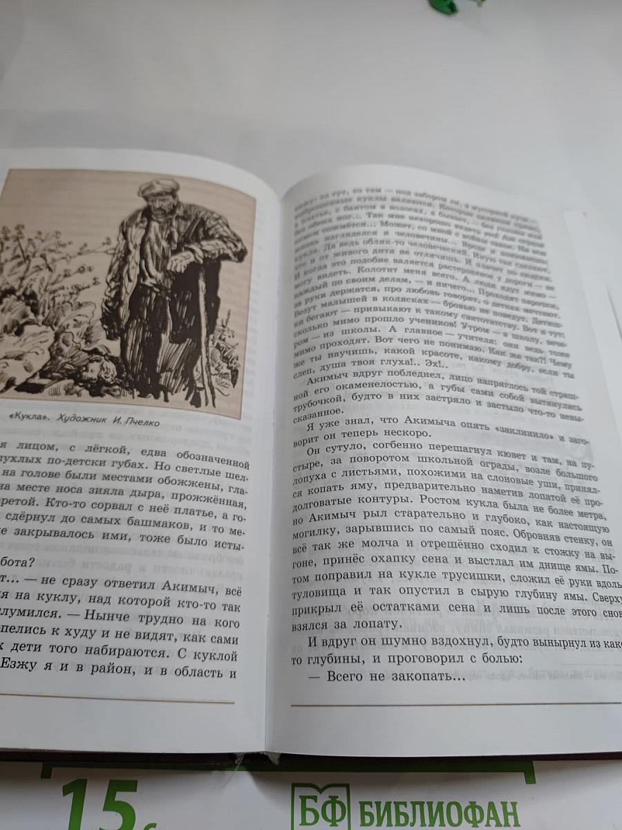 Литература. 7 класс. Учебник. Часть 2
