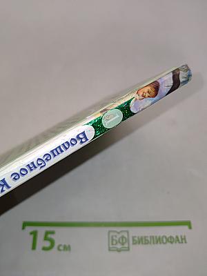 Волшебное королевство. Магический браслет. Книга 1