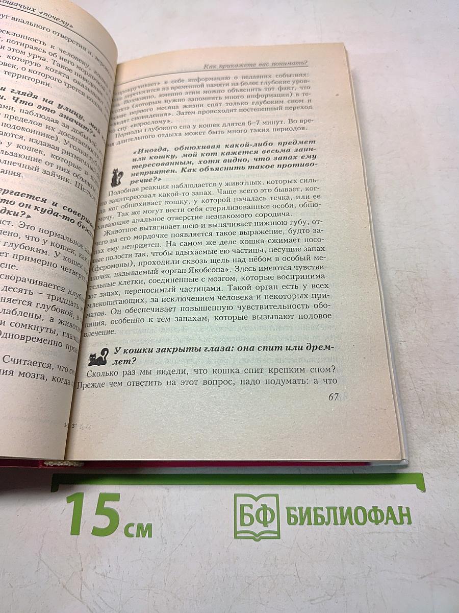 500 кошачьих «почему»