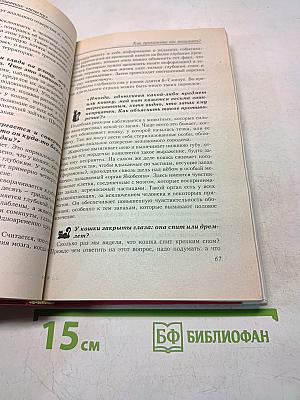 500 кошачьих «почему»