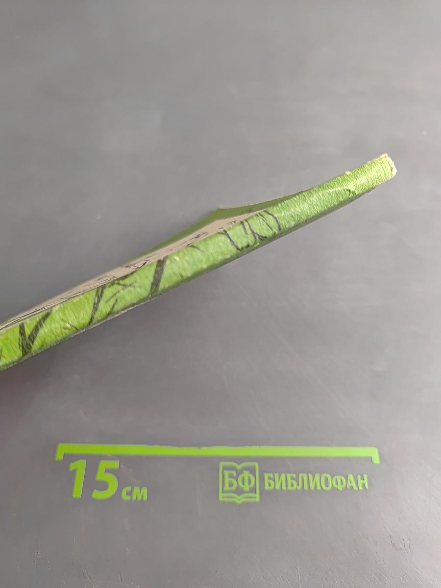 Фитотерапия в вашем доме. Лечение лекарственными растениями