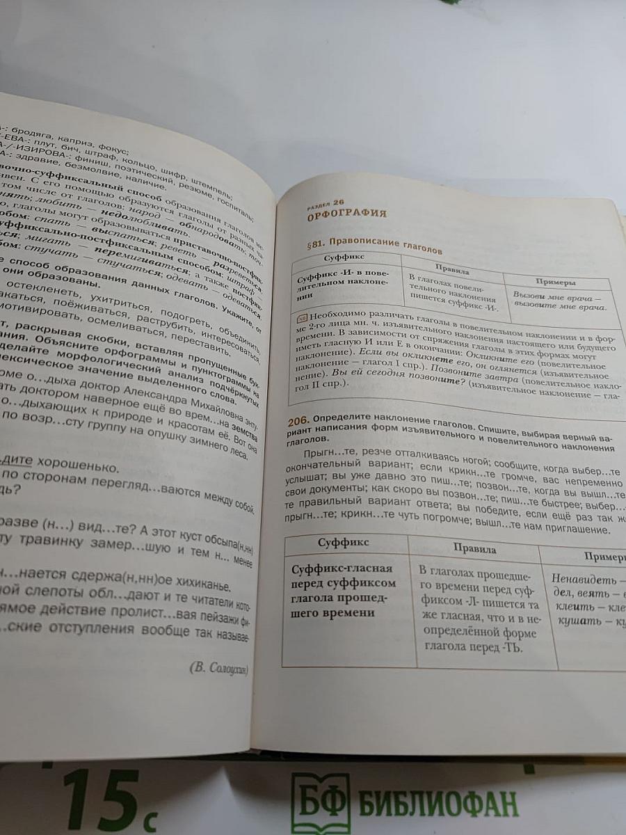 Русский язык. 11 класс. Базовый и углублённый уровни
