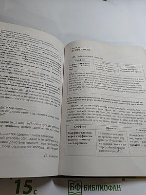 Русский язык. 11 класс. Базовый и углублённый уровни