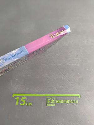 Ведьма. Грозы Виндмора