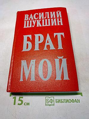 Брат мой