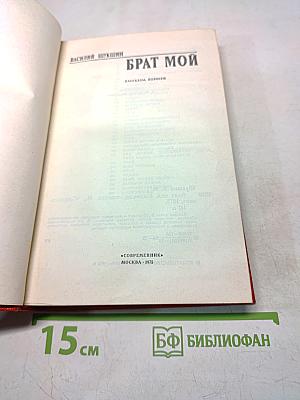 Брат мой