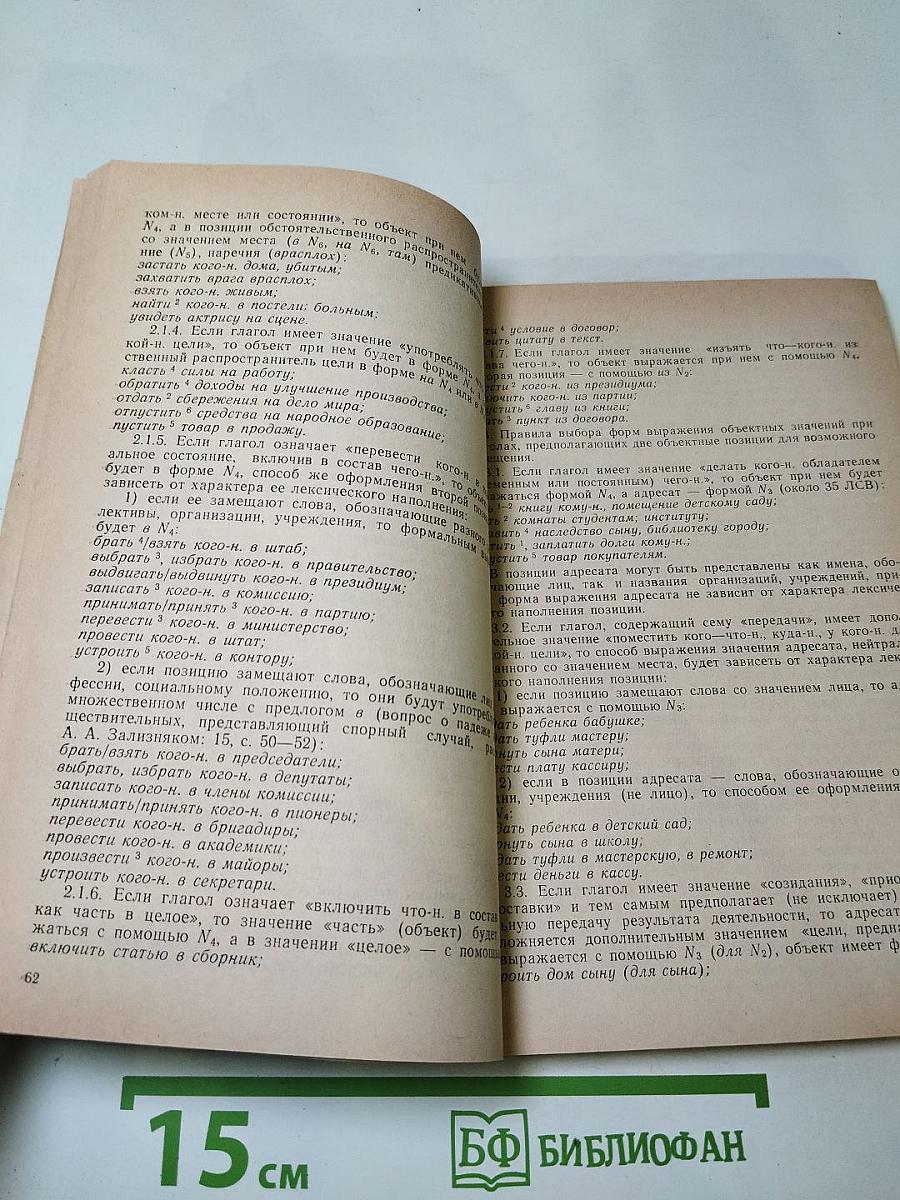 Идеографические аспекты русской грамматики