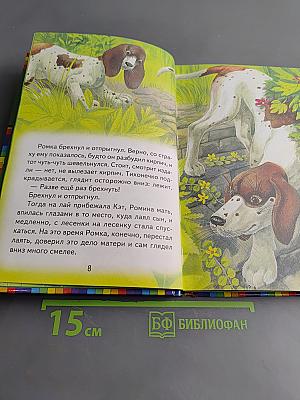 Про птиц и зверей