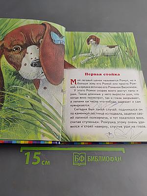 Про птиц и зверей