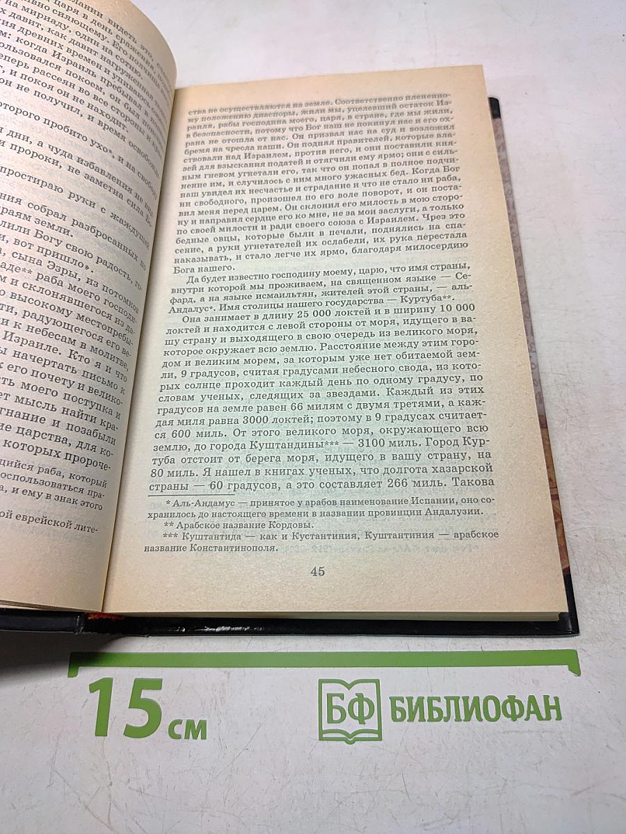 Ольга. Княгиня Ольга. Исторический роман