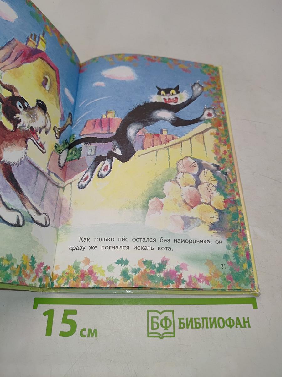 Котёнок по имени Гав