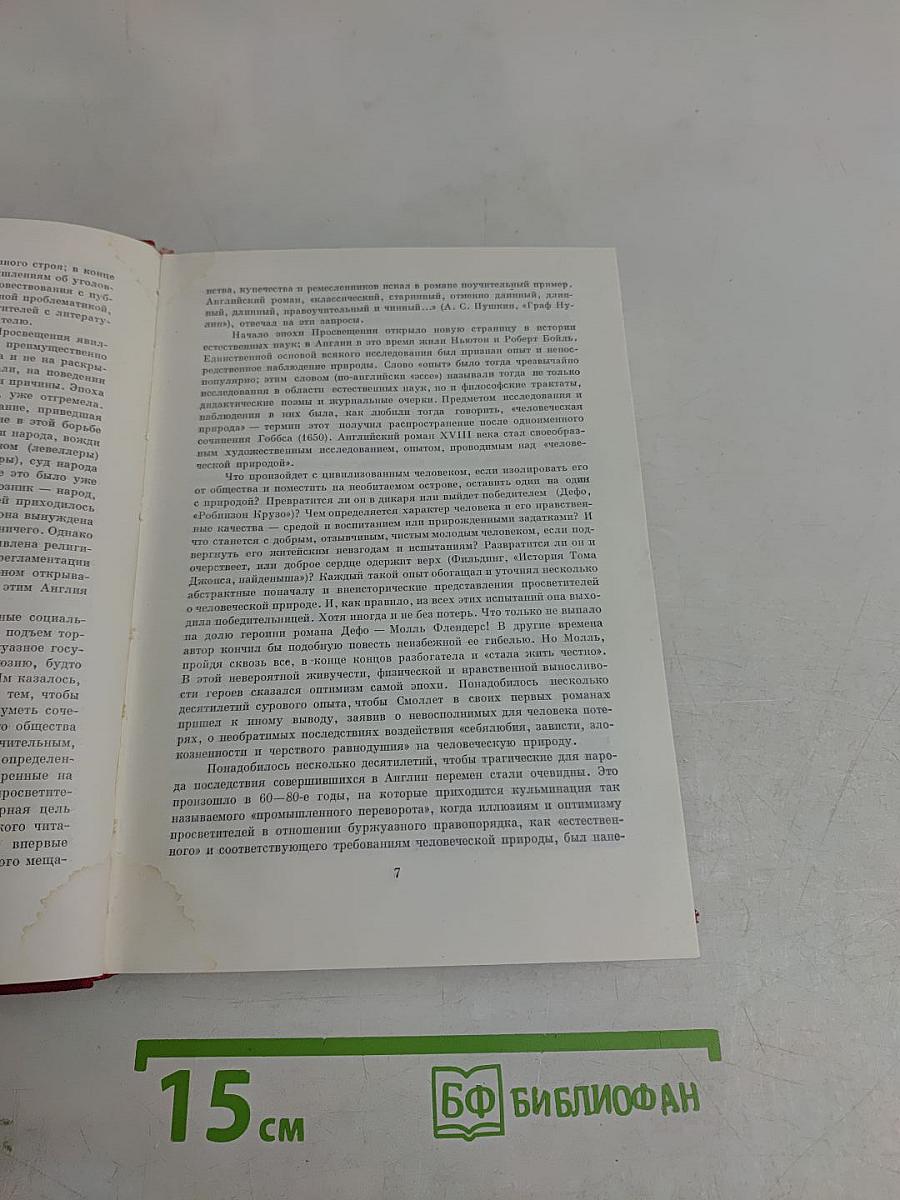 Путешествие Хамфри Клинкера. Векфильдский священник