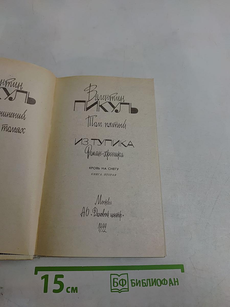 Из тупика. Роман-хроника. Кровь на снегу. Книга вторая