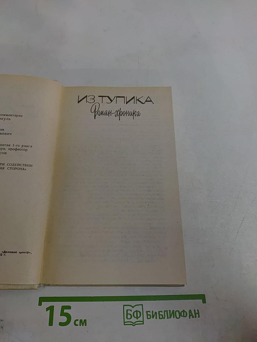 Из тупика. Роман-хроника. Кровь на снегу. Книга вторая
