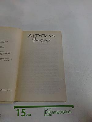 Из тупика. Роман-хроника. Кровь на снегу. Книга вторая
