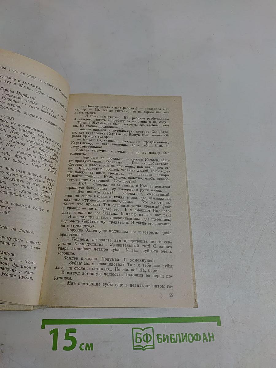 Из тупика. Роман-хроника. Кровь на снегу. Книга вторая