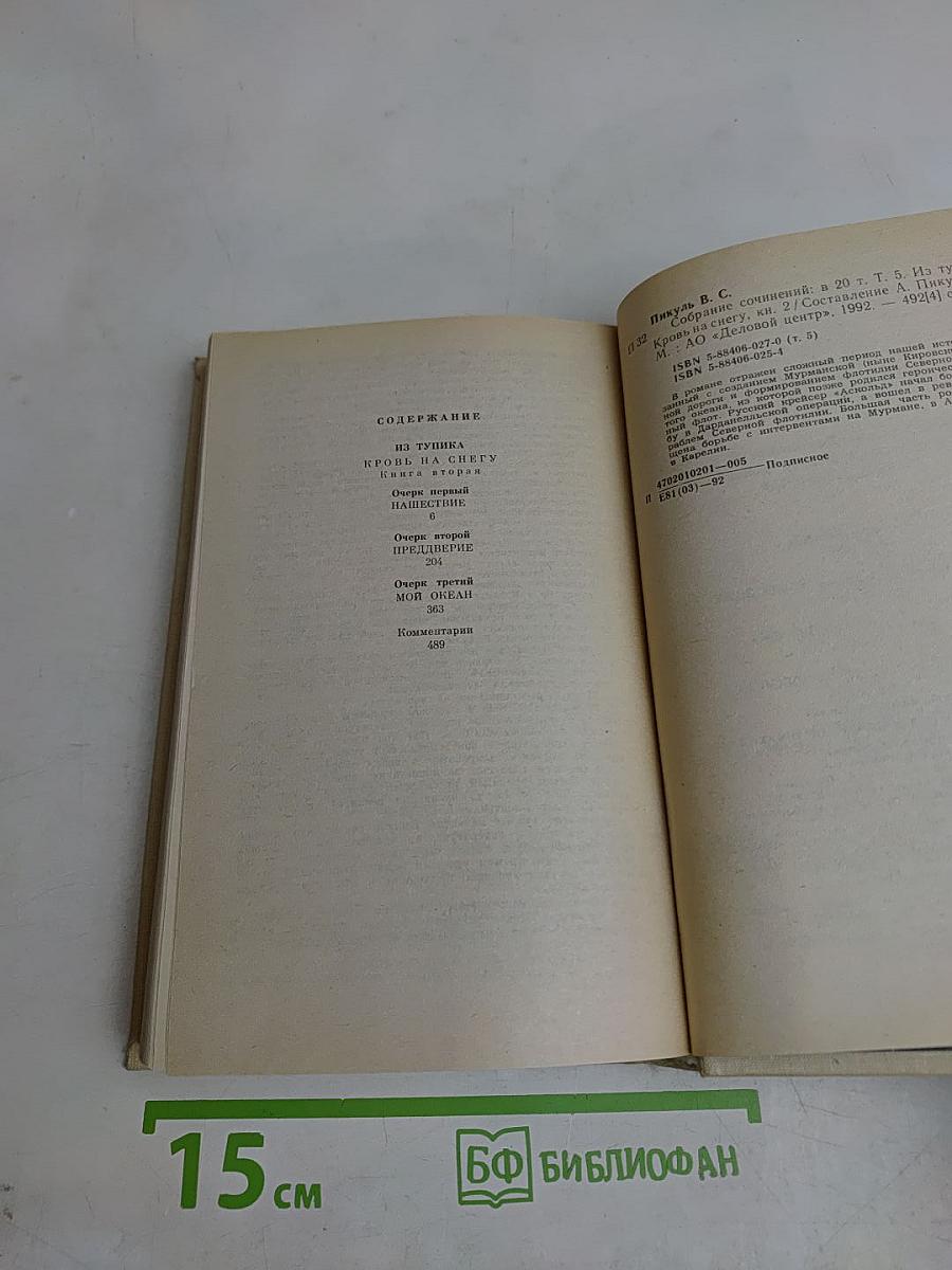 Из тупика. Роман-хроника. Кровь на снегу. Книга вторая