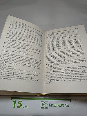 Виконт де Бражелон или Десять лет спустя