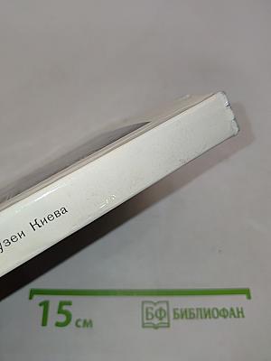 Художественные музеи Киева