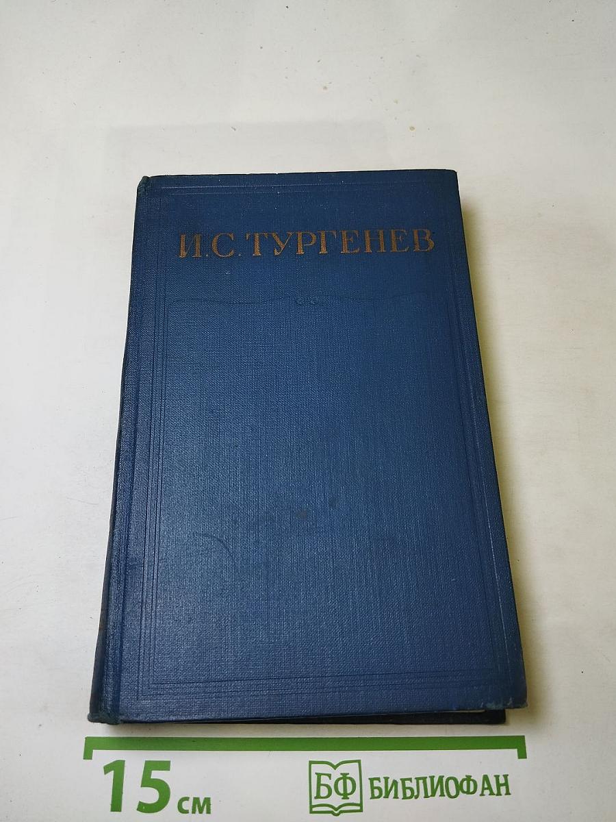 Сочинения. Том десятый. Повести и рассказы 1867-1870