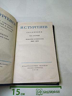 Сочинения. Том десятый. Повести и рассказы 1867-1870