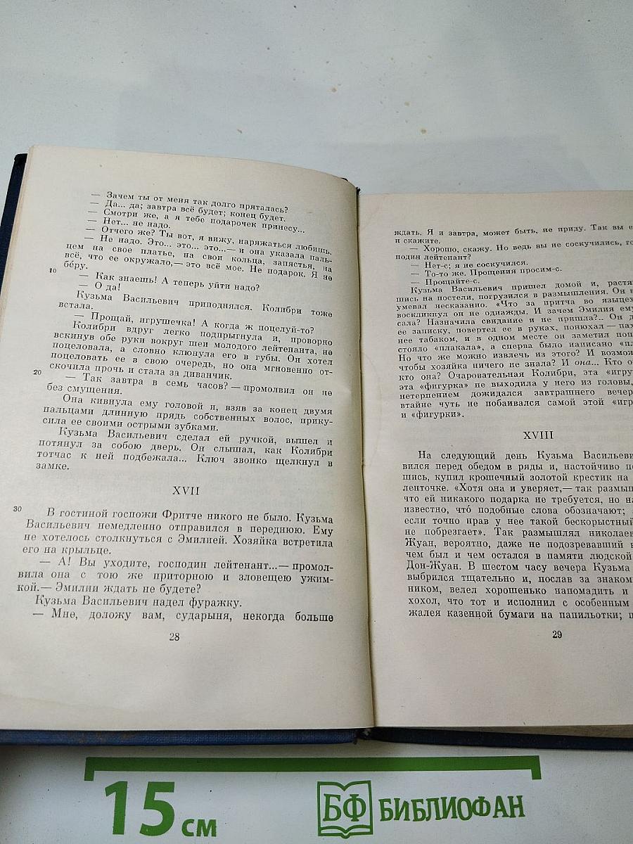 Сочинения. Том десятый. Повести и рассказы 1867-1870