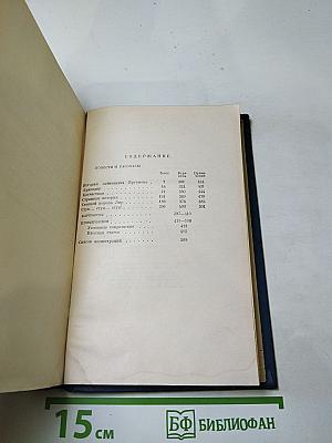 Сочинения. Том десятый. Повести и рассказы 1867-1870