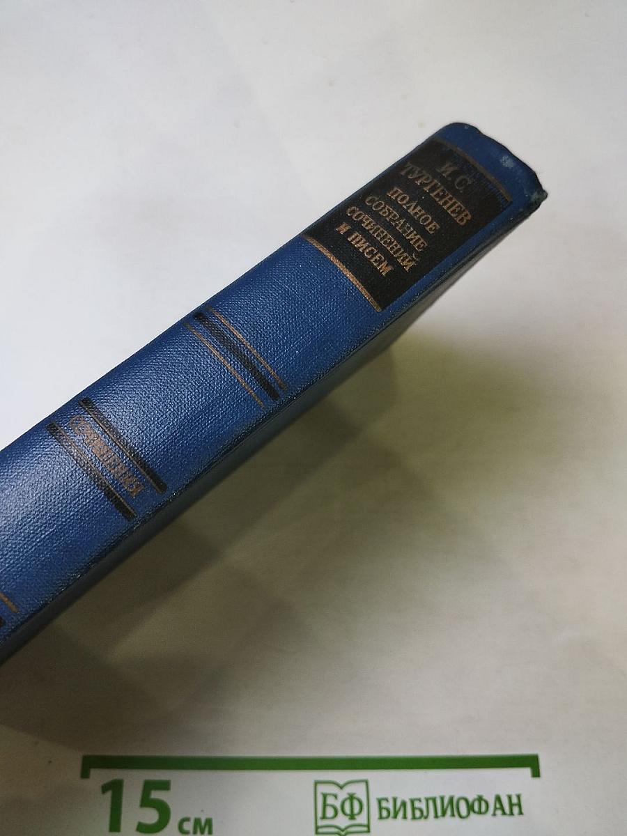 Сочинения. Том десятый. Повести и рассказы 1867-1870
