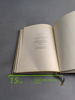 Человек