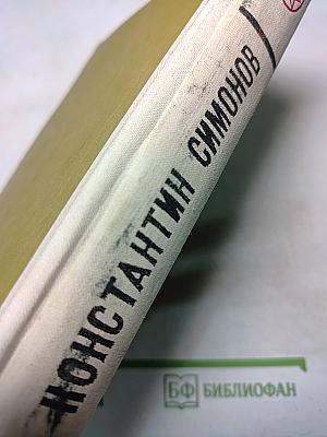 Живые и мертвые. Книга 3. Последнее лето