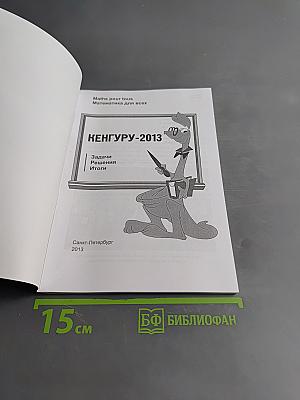 Кенгуру-2013. Задачи, решения, итоги