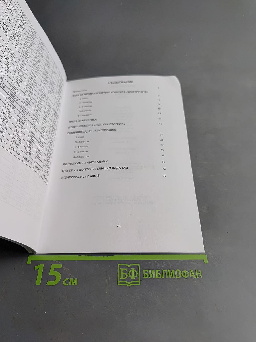 Кенгуру-2013. Задачи, решения, итоги