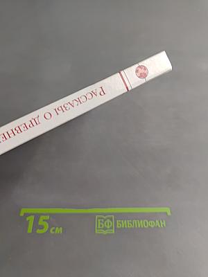 Рассказы о Древнем Новгороде