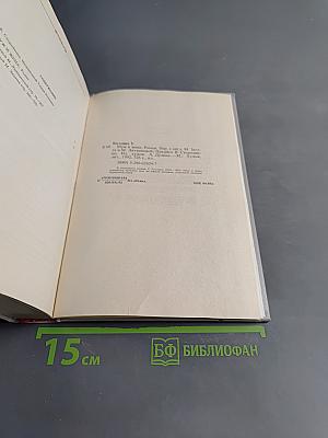 Муж и жена