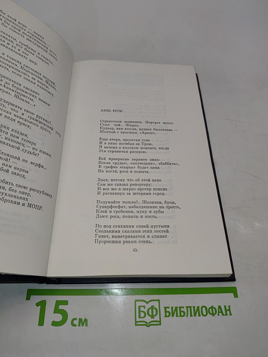 Избранная лирика