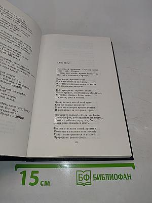Избранная лирика