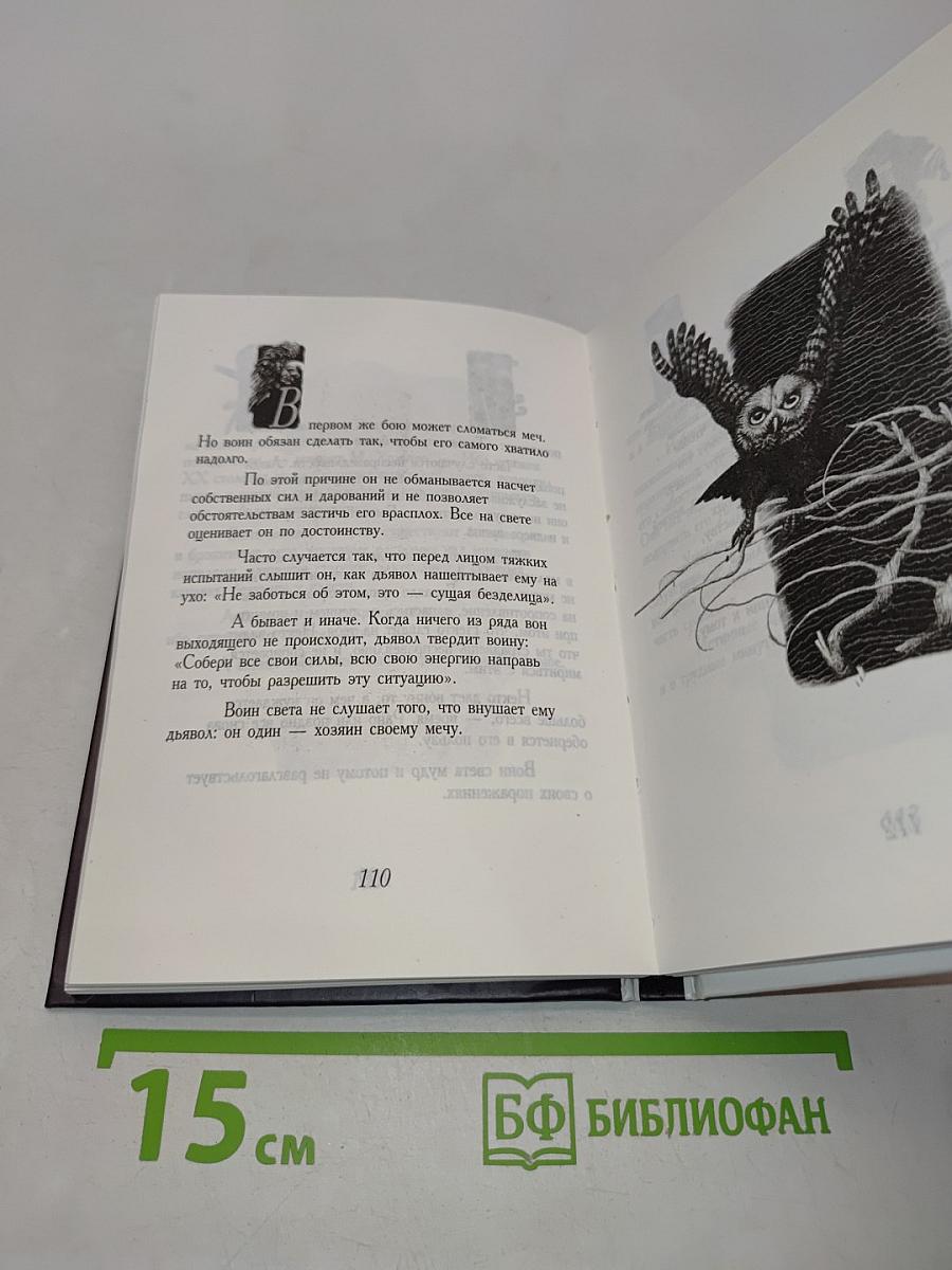 Книга воина света