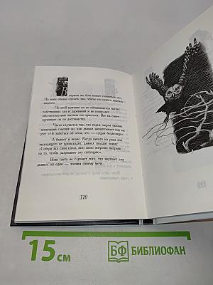 Книга воина света