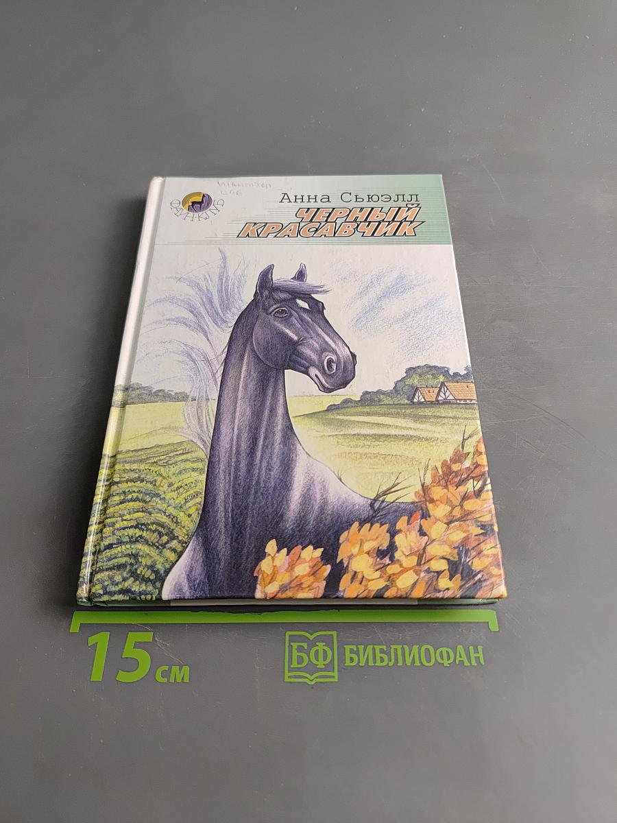 Черный красавчик