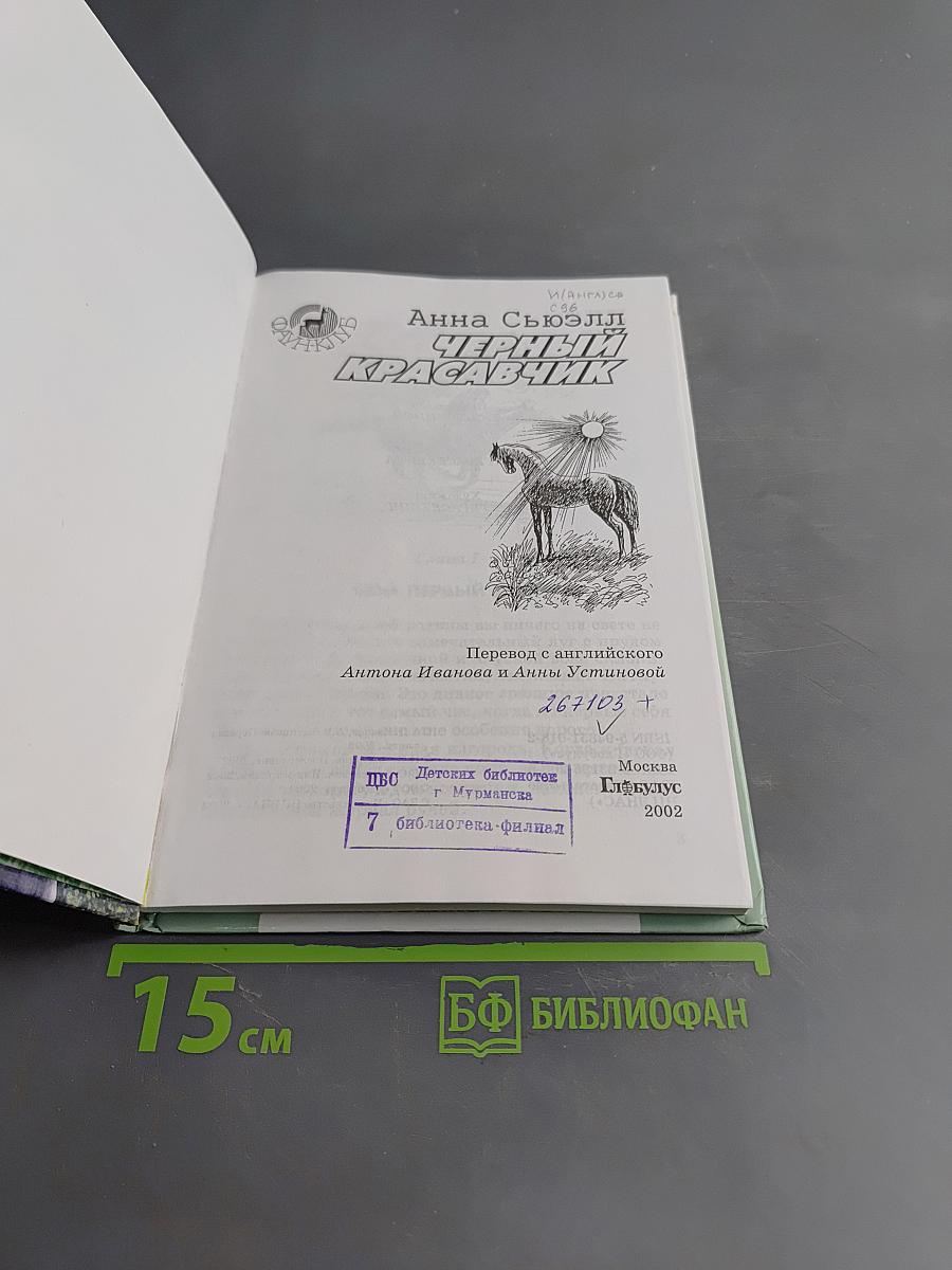 Черный красавчик