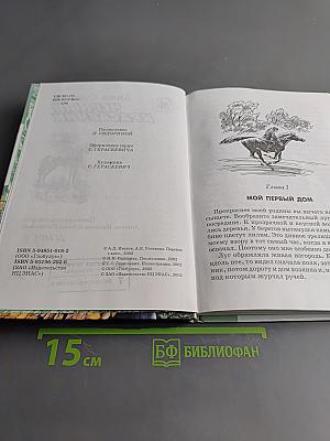 Черный красавчик