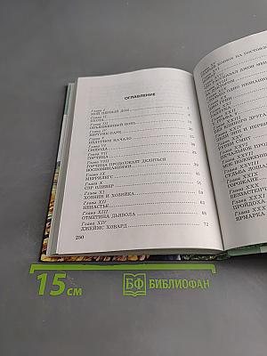 Черный красавчик