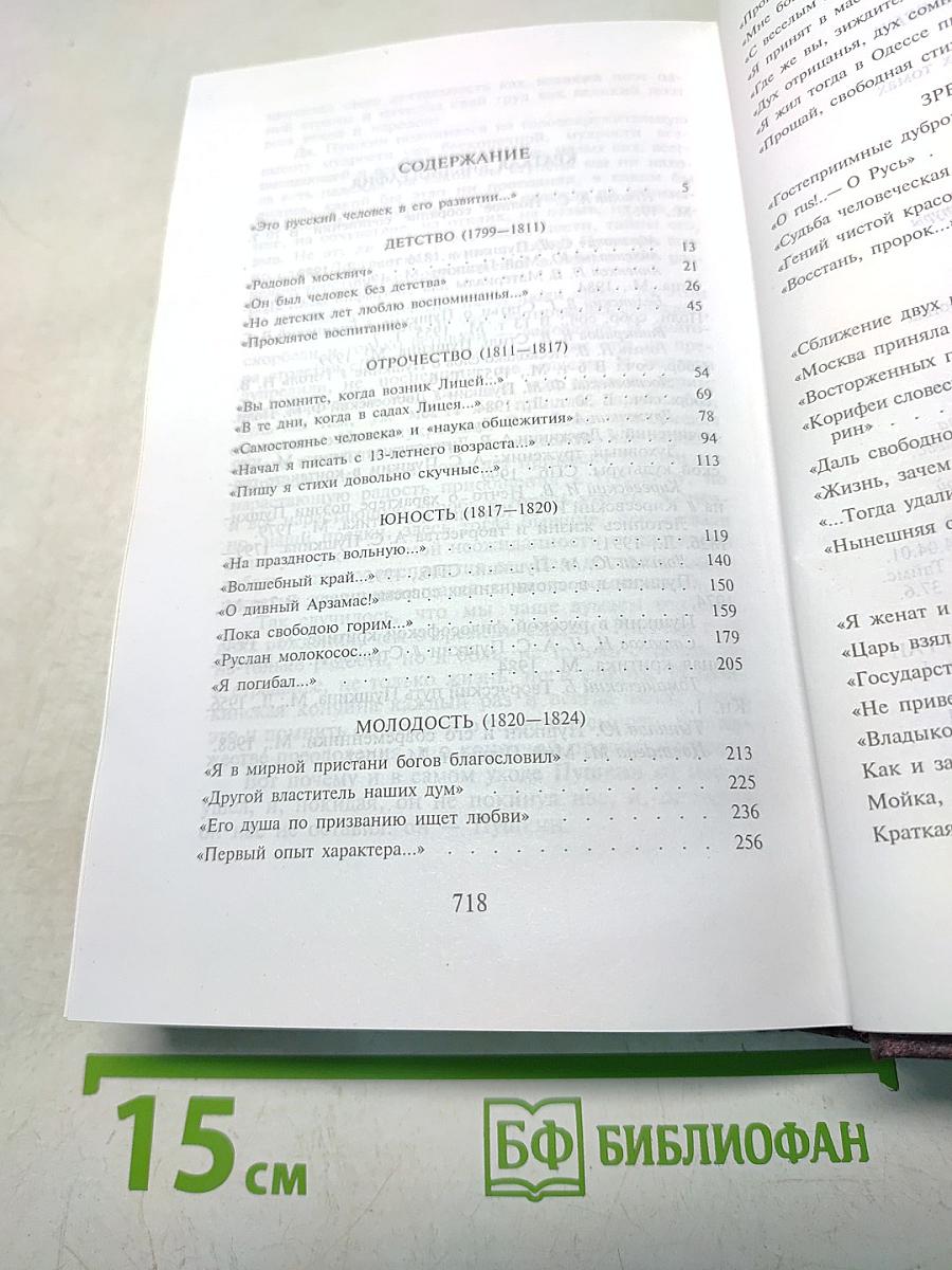 Сочинения. Том первый. Пушкин русский гений