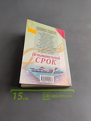 Испытательный срок