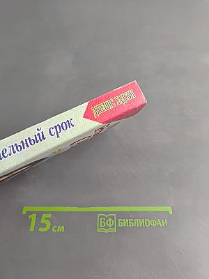 Испытательный срок