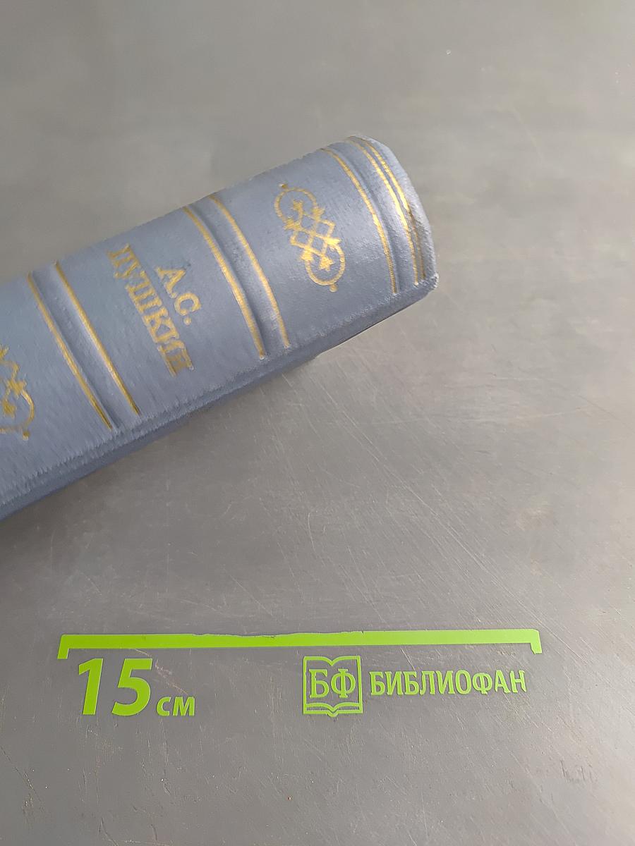 А.С. Пушкин. Критика и публицистика. Том седьмой