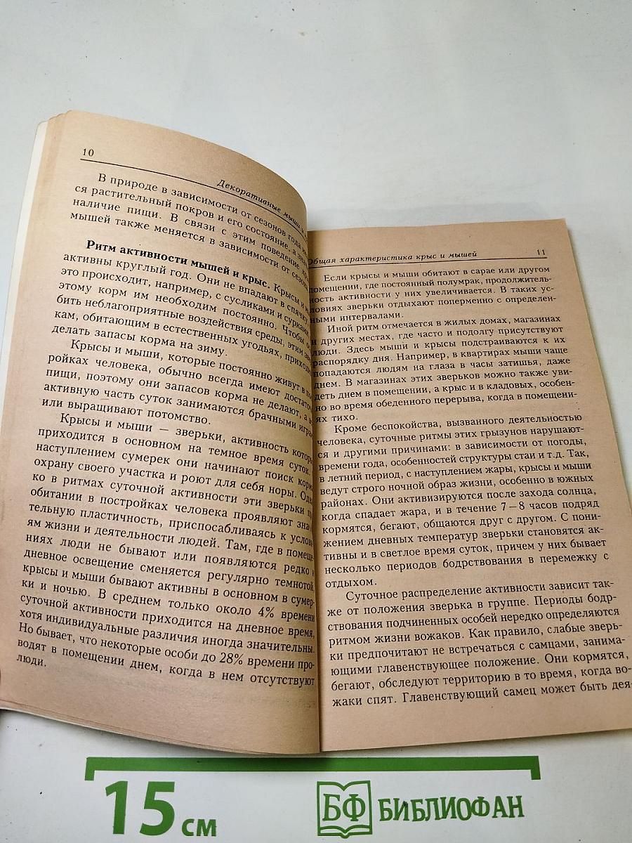 Декоративные мыши и крысы