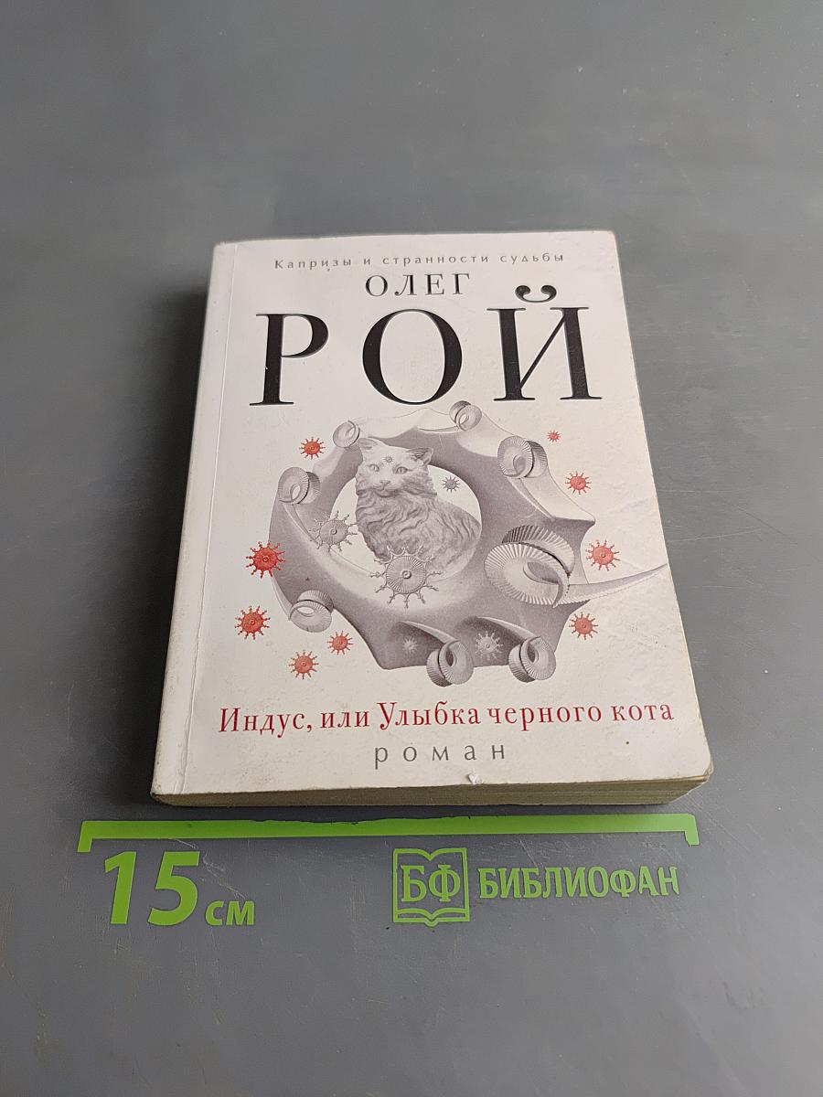 Индус, или Улыбка черного кота